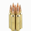 20 Rounds of 75gr TMJ .223 Ammo by Federal - Image 2