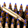 50 Rounds of 40gr V-MAX .223 Ammo by Fiocchi - Image 2