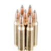 200 Rounds of 55gr PSP .223 Ammo by PMC - Image 3