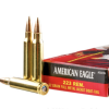 20 Rounds of 62gr FMJBT .223 Ammo by Federal