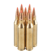 20 Rounds of 80gr Polymer Tipped .243 Win Ammo by Black Hills Gold Ammunition - Image 2