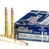 20 Rounds of 170gr FSP 30-30 Win Ammo by Fiocchi