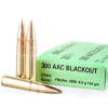 500 Rounds of 124gr FMJ 300 AAC Blackout Ammo by Sellier & Bellot